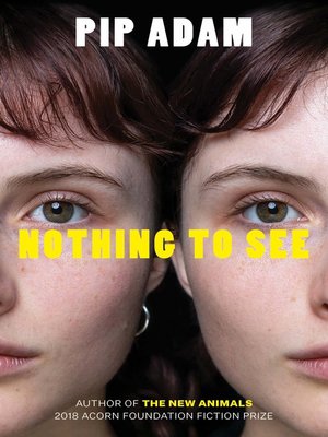 cover image of Nothing to See